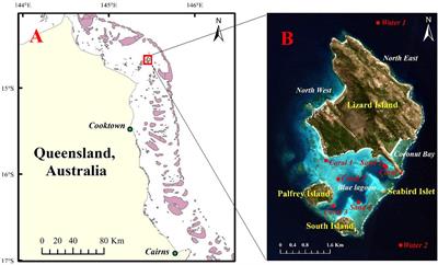 Detection of Coral Reef Bleaching Based on Sentinel-2 Multi-Temporal Imagery: Simulation and Case Study